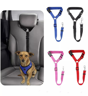 Correa Asiento Seguridad Pet